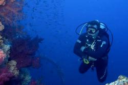 Marsa Alam - Red Sea Dive Holiday. 